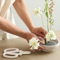A person arranging white flowers in a small, shallow bowl using a floral pin frog, with a pair of floral scissors resting on the wooden table nearby.
