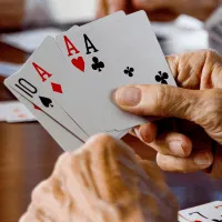 A person holding a hand of playing cards.
