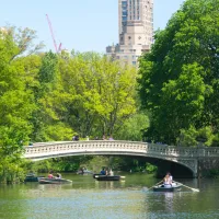 Central Park walking bridge