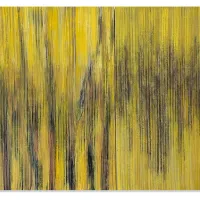 Shadows of treelines