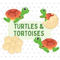 a graphic of baby turtles an turtle eggs with a sign that says turtles and tortoises on a black and white polka dot background