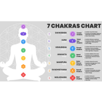 Chakra Chart defining 7 steps. 