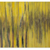 Shadows of treelines