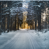 Snow covered road.